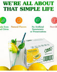 True Lemon Bulk Pack  500 Count with 5 True Lemon Sticks Variety Lemonades  Enjoy Refreshing Citrus Flavors in Every Sip