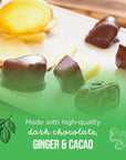 Fuel By Nature Dark Chocolate Covered Ginger Delicious Candied Ginger AllNatural Chocolate Candy Healthy Snack with No Artificial Flavors or Colors Resealable Bag 1 lb