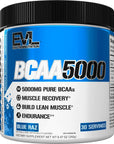 Evlution EVL BCAAs Amino Acids Powder - BCAA Powder Post Workout Recovery Drink and Stim Free Pre Workout Energy Drink Powder - 5g Branched Chain Amino Acids Supplement for Men - Cherry Limeade