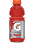 Gatorade Sports Drink Fruit Punch 20Ounce Wide MouthBottles Pack of 24