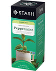 Stash Tea Variety Pack Timeless Classic with Stash Chai Spice Chamomile Premium Green English Breakfast Black Peppermint  Early Grey Tea 6 Flavor Assorted Tea Collection  30 Tea Bags Each Total 180 Tea Bags Individually Wrapped with eRaiyan Sticker