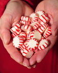 Starlight Peppermints Individually Wrapped Candy  Sweets for On the Go Refreshment Starlight Mints Hard Candy Office Candy Mints Christmas Peppermint Candy 1lb