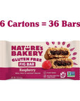 Nature’s Bakery Gluten Free Fig Bars, Raspberry, Real Fruit, Vegan, Non-GMO, Snack bar, 6 boxes with 6 twin packs (36 twin packs)