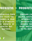 NJY Sparkling PREBIOTIC SODA Includes 2000mg APPLE CIDER VINEGAR REAL Fruit Juice Low Calories  Sugar 100 Vitamin C B3 B5 B6 B12 12oz cans ROOT BEER