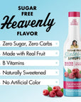 Miss Marys Sinless Syrups Fruit Collection  Zero Sugar and Calories Stevia Based No Sugar Alcohols or Sucralose No Artificial Sweeteners Natural Ingredients and made with REAL fruit Keto Friendly 3 Pack Includes Raspberry Peach and Tropical