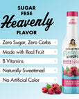 Sugar Free Raspberry Sinless Syrup  Stevia Based No Sugar Alcohols or Sucralose No Artificial Sweeteners Natural Ingredients Water Enhancer Tea Desserts Keto Friendly 1 Pack