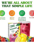 TRUE LEMON Wildberry Lemonade Drink Mix - Pack of 3 (30 count in total)