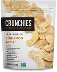 Crunchies Freeze-Dried Fruits, 100% All Natural Crispy Fruit, Non GMO and Kosher, Resealable Freeze Dried Fruit Snack Packs, Pack of 6 (Cinnamon Apple)