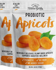 Natures Garden Probiotic Apricots  Probiotic Dried Fruit Plump Dried Apricots No Added Sugar GlutenFree DairyFree Vegan  Bulk 40 Oz Bag Pack of 2