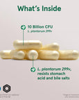 Jarrow Formulas Ideal Bowel Support - 10 Billion CFU Per Serving - Bowel Support - Reduces Bloating, Gas & Intestinal Discomfort - Up to 30 Servings (Veggie Caps)