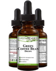 Green Organics Green Coffee Bean Liquid Extract Weight Loss Supplements