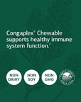 Standard Process Congaplex (Chewable) - Whole Food RNA Supplement, Antioxidant, Immune Support with Thymus, Shiitake, Reishi Mushroom Powder, Organic Sweet Potato, Wheat Germ, and More - 90 Tabs