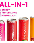 AminoLean Energy Drink  Sugar Free Amino Energy with Natural Caffeine  Vegan Amino Acids for No Jitters Tingles or Crash Variety 12 Pack