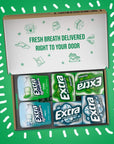 EXTRA Spearmint  Polar Ice Sugar Free Chewing Gum Bulk Assortment 15 Sticks  40 Pieces 2 Bottle Packs  12 Single Packs