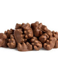 Koppers Milk Chocolate Covered Gummy Bears 1 LB