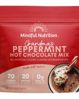 Mindful Nutrition Grandmas Organic Hot Chocolate Mix I Dairy Free Hot Cocoa Mix I Plant Based Chocolate Milk Powder I Organic Dark Chocolate Beverages I Coffee Creamer Substitute Fat Free  12oz Peppermint