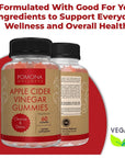 Pomona Wellness Apple Cider Vinegar Gummies with B Vitamins for Immune Support, Detox and Cleanse, ACV Gummy for Digestion, Overall Health, Vegan, 60 Count