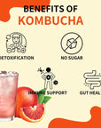 Garden Kombucha Tea Powder 5g x 20 Sachets 100g352oz Probiotics Prebiotics Sugar Free Black Tea Healthy Drink with Bottle FREE BOTTLE SHAKER Moro Blood Orange