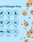 Gluten Free Chocolate Chip Mini Cookie Snack Packs by Partake | Vegan, Dairy Free, Peanut Free, Egg Free, Wheat Free, Treenut Free, Soy Free, Sesame Free | Allergy Friendly Cookies | Safe School Snack for Kids - 20 Packs