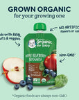 Gerber Organic Apple Blueberry Spinach Baby Food, 3.5 Oz Pouch