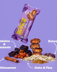 Sweet Nothings Oatmeal Raisin USDA Organic Nut Butter Bites Protein Bar Nut  Date Snack Filled with Peanut Butter 122 Bite Value Packs  No Added Sugar Plant Based Vegan Only 7 Ingredients