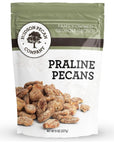 Hudson Pecan  Praline Pecans  Gourmet Delight in Every Bite  8oz Resealable Pack for Freshness  Irresistible Southern Sweetness  Perfect for Snacking Baking and Gifting  One Pack of Delectable Pecan Pralines