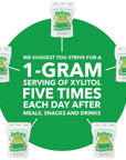 Zellies  100 Xylitol Sugar Free Spearmint Chewing Gum  Spearmint Flavor 240 Count  Pack of 1