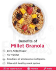 True Elements Millet Granola - 450g