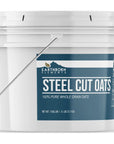 Earthborn Elements Steel Cut Oats 1 Gallon Also Called Irish Oatmeal Breakfast Resealable Bucket