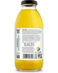 Just Ice Tea Organic Original Green Tea 16 FZ