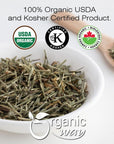 Organic Way Horsetail Herb Cut  Sifted Equisetum arvense  Herbal Tea  European WildHarvest  Kosher  USDA Certified  Vegan NonGMO  Gluten Free  100 Raw from Albania 14LBS  4Oz