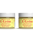 Basic Brands - L-Lysine Ointment - 0.875 oz - Lysine Cold Sore Treatment and Blister Relief - Soothes Chapped Lips and Dry Skin - 2-Pack