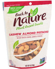 Back to Nature Premium Nut Mix  Cashew Almond  Pistachio Blend Dry Roasted with Sea Salt NonGMO High Protein Snacks 9 Ounce