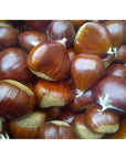 Gourmanity Chestnut Jar Chestnuts From Ardeche France Whole Roasted Chestnuts Peeled and Ready to Eat Great for Cooking Baking  Healthy Snacking Kosher Non Gmo and Gluten Free 148 oz