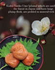 Mayca Moon Umeboshi by KISHU NANKO UME Japanese Basic Salty Pickled Plums 1058oz 300g