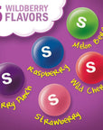 Wrigleys SKITTLES Wild Berry 217