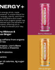 All Phenoms Energy Sparkling Organic Prebiotic  Probiotic Drink  Adaptogen Mushroom Blend 350mg Lions Mane 75mg Green Tea Caffeine 135mg LTheanine Vitamins B  Citrus Ginger 12 Pack