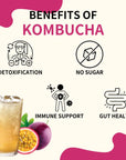 Garden Kombucha Tea Powder 5g x 20 Sachets 100g352oz Probiotics Prebiotics Sugar Free Diet Tea Healthy Drink with Bottle FREE BOTTLE SHAKER Passion Fruits