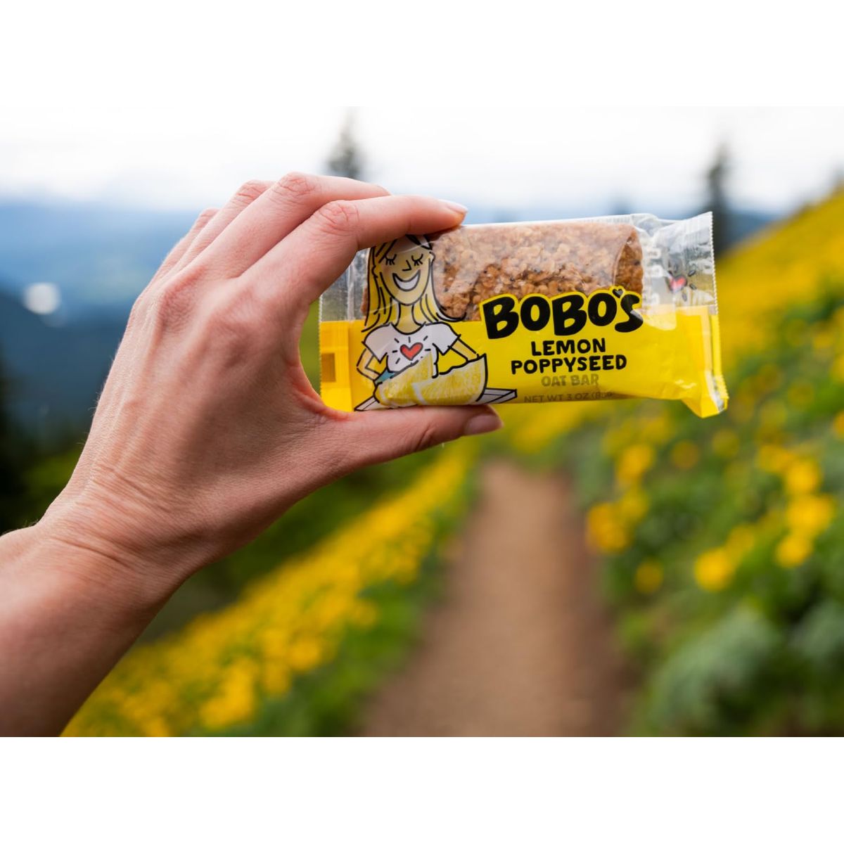 Bobos Oat Bar Fruit Flavored Multipack 4 Lemon Poppyseed and 4 Coconut Great Tasting Healthy Snacks for the Whole Family 8 Fruit Multi