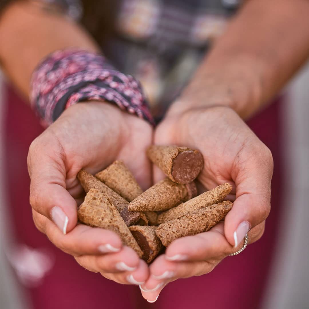 Just The Fun Part BiteSize Crispy Mini Waffle Cones with Premium Belgian Chocolate Great for Snacks Dessert Grab  Go  Kosher Milk Chocolate Pack of 1