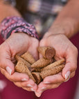 Just The Fun Part BiteSize Crispy Mini Waffle Cones with Premium Belgian Chocolate Great for Snacks Dessert Grab  Go  Kosher Milk Chocolate Pack of 1