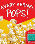 All In One Popcorn Packs  Wabash Valley Farms All Inclusive Popping Kits Real Theater Popcorn Kits PrePortioned Popcorn Machine Popcorn Packets All In One Popcorn Kernels 55 oz  10 Pack