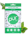 PUR Gum | Aspartame Free Chewing Gum | 100% Xylitol | Sugar Free, Vegan, Gluten Free & Keto Friendly | Natural Spearmint Flavored Gum, 55 Pieces (Pack of 1)