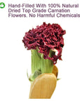 Plant Gift 100 Herbal Carnations Flowers TeaChinese Flower tea 100 natural carnation tea health 45g158oz