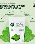 NBF Organic Nopal Cactus Powder 16 Oz 100 Pure Natural Prebiotic Fiber Prickly Pear Sugar Free Keto Diet Digestive Health GlutenFree from Local Deserts in Mexico