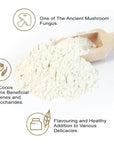 Poria Cocos Powder  Pure Fu Ling Powder for BeverageSoupPorridgeCake and Baking Food  No Additives or FIllers  4oz113g