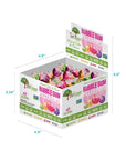 Tree Hugger Bubble Gum Filled Pops Display Box Great for Big Fun 48 Count