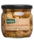 Mantova Grilled Mushrooms 113 oz Pack of 2 Product of Italy AllNatural Lightly Grilled Mushrooms VeganFriendly NonGMO No Artificial Coloring Flavoring or Preservatives