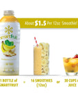 Smartfruit Sunny Banana  Oat Fiber 100 Real Fruit Purée NonGMO No Additives Vegan  48 Fl Oz  2 Pack