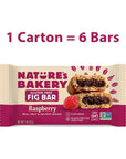 Natures Bakery Gluten Free Fig Bars Raspberry Real Fruit Vegan NonGMO Snack bar 1 box with 6 twin packs 6 twin packs